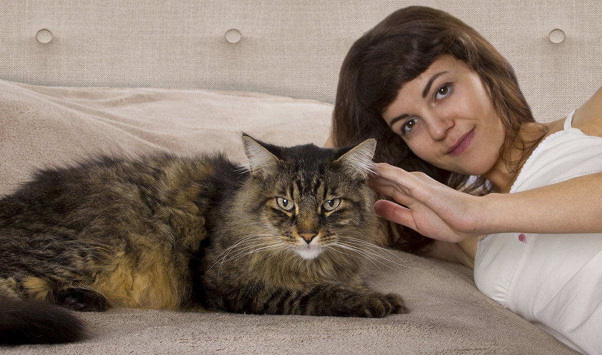 The Best Cat Supplements on the  Mighty Petz Shop now!