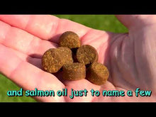 Load and play video in Gallery viewer, 10-in-1 MAX Allergy Immunity Chews for Dogs & Cats - Healthy Immune System Support