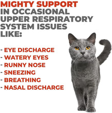 Load image into Gallery viewer, Lysine Powder for Cats + Cat Repellent Spray with all Natural Ingredients