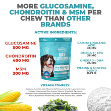 Load image into Gallery viewer, MAX Glucosamine Chondroitin MSM for Dogs