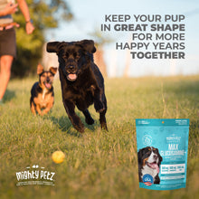 Load image into Gallery viewer, MAX Glucosamine Chondroitin MSM for Dogs