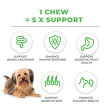 Load image into Gallery viewer, MAX Cranberry for Dogs + 5-in-1 MAX Probiotics for Pets