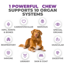 Load image into Gallery viewer, 10-in-1 MAX Multivitamin for Dogs - Supports Overall Health