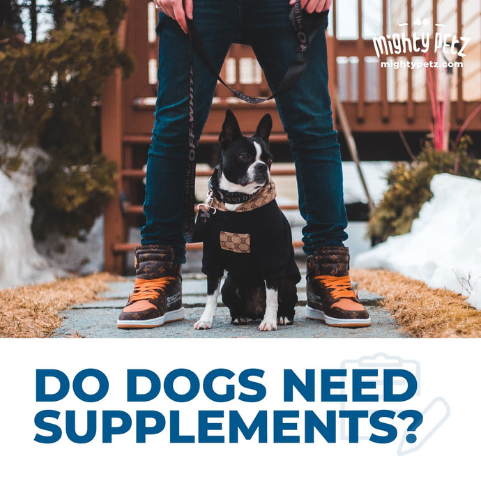 DO DOGS REALLY NEED SUPPLEMENTS?