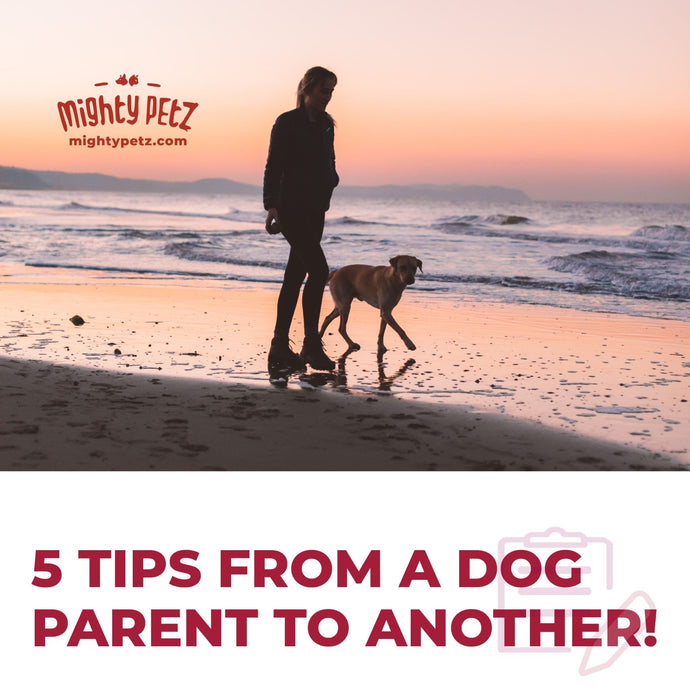5 tips from one dog parent to another!