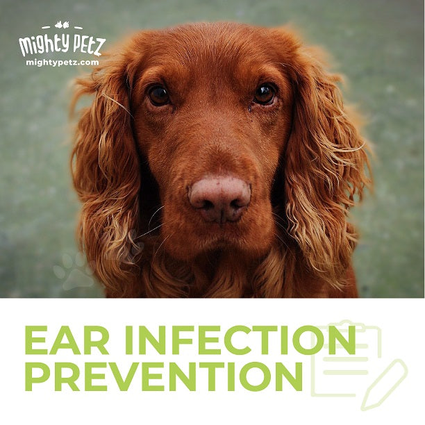 Ear Infection Prevention