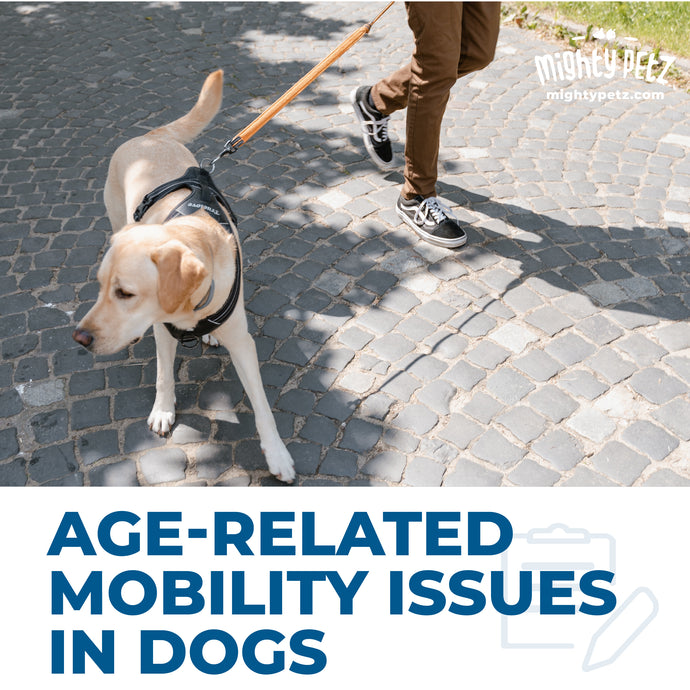 Age-related mobility problems in dogs