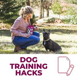 Dog Training Hacks You'll Wish You Knew About Sooner