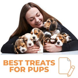 A few words on how to find best treats for puppies