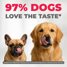 Load image into Gallery viewer, 10-in-1 MAX Allergy Immunity Chews for Dogs - Healthy Immune System Support
