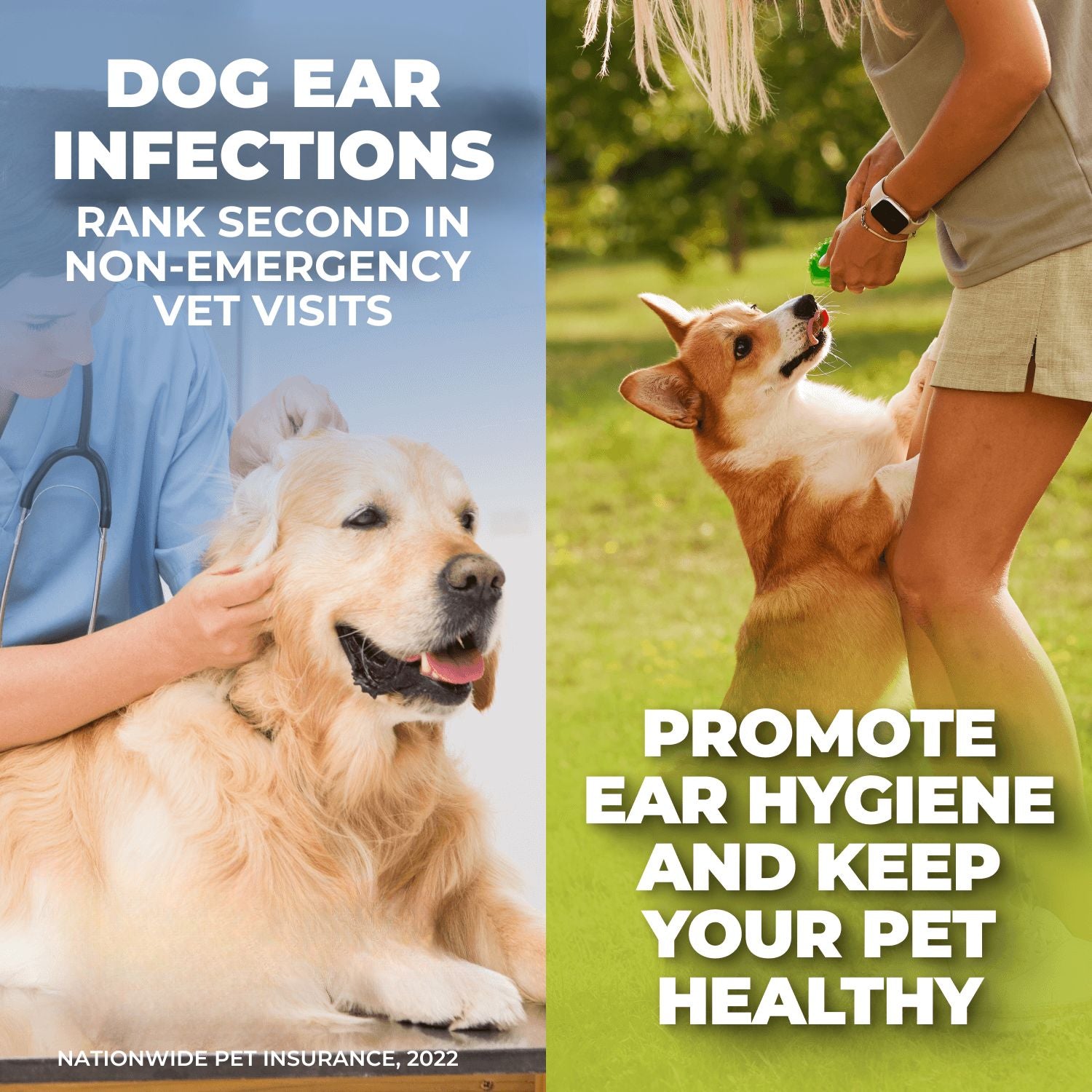 4-in-1 Dog Ear Cleaner - Cleaning Solution for Healthy Ears - Lavender-Chamomile