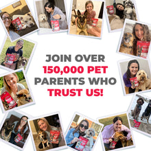 Load image into Gallery viewer, 10-in-1 MAX Allergy Immunity Chews for Dogs - Healthy Immune System Support
