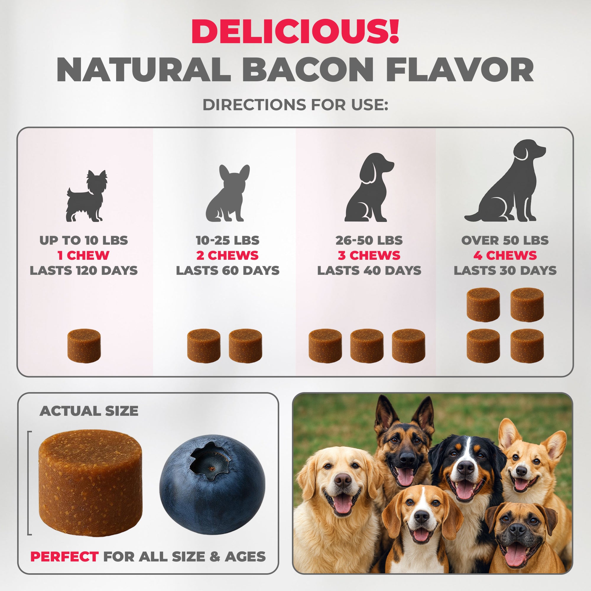 10-in-1 MAX Allergy Immunity Chews for Dogs - Healthy Immune System Support - (LP)