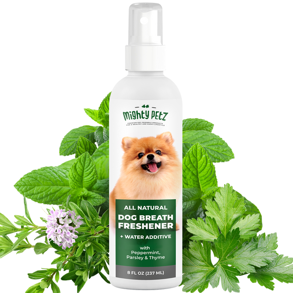 Best dog mouth spray deals